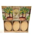 Lemon House Soap Set - 3 x 150g | Luxury Natural Soap for Radiant Skin | International Shipping Available - Buy Online on GoSupps.com