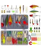 GOANDO Fishing Lures Kit for Freshwater Bait Tackle Kit for Bass Trout Salmon Fishing Accessories Tackle Box Including Spoon Lures Soft Plastic Worms Crankbait Jigs Fishing Hooks 78 Pcs Fishing Lures - Buy Online on GoSupps.com
