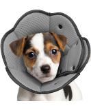 Iecoii Dog Cone for Small Dogs - Soft Adaptable Leak Protection & Post-Op Recovery Collar - Black - Buy Online on GoSupps.com