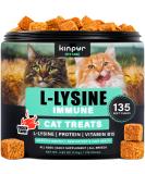 Lysine Cat Treats for Immune Support & Respiratory Health - 135 Soft Chews with Vitamin B, Calcium & Protein - Enriched with L-Lysine for Cats - American Quality - Buy Online on GoSupps.com