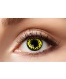 Buy Eyecatcher 84065141-714 Yellow Colored Contact Lenses - 1 Pair 12 Months Perfect for Halloween & Carnival - Werewolf Style - International Shipping - Buy Online on GoSupps.com