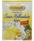 Buy Erntesegen Organic Hollandaise Sauce 0.2L - Pack of 12 | Premium Culinary Delight for International Shipping - Buy Online on GoSupps.com