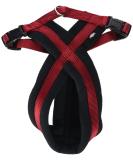 Trixie Premium Touring Harness M-L - Sporty Red Dog Harness with Fleece Padding | Adjustable for Medium-Sized Dogs (Chest 50-90 cm) - Buy Online on GoSupps.com