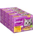 Whiskas 7+ cat food poultry selection in jelly 12x85g (4 packs) - high -quality wet food from the age of 7 in 48 portion bags - for the preservation of vitality poultry selection (jelly) - Buy Online on GoSupps.com