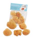 Constantia Pets Hermit Crab Real Sea Sponges - 5 Pack | Nutrient-Rich & Safer Drinking | Maintain Habitat Tank Humidity - Buy Online on GoSupps.com