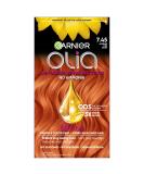 Garnier Olia Dark Fire Ruby Hair Color 2 Pack - Ammonia-Free Permanent Dye - Buy Online on GoSupps.com