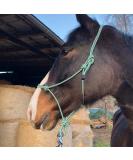 Knothalter f r Bodenarbeit Optimaler Knot-Halter COB f r Shetty (Shetland) | Gr n-Wei | Perfekt f r Frei- Boden- und Lade-Training - Buy Online on GoSupps.com