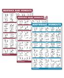 Palace Learning 3-Pack - Resistance Tapes & Bodyweight Exercises Poster Set | 18x24 Laminated Training Tables for Home Workouts - Buy Online on GoSupps.com