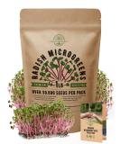 Radish Sprouting & Microgreens Seeds - Non-GMO, Heirloom Sprout Seeds Kit in Bulk 1lb Resealable Bag for Planting & Growing Microgreens in Soil, Coconut Coir, Garden, Aerogarden & Hydroponic System. Radish Microgreen Seeds - Buy Online on GoSupps.com