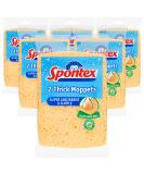 Spontex Dick Moppets - 12 Superior Sponges (6 Packs of 2) for Efficient Cleaning | International Shipping Available - Buy Online on GoSupps.com