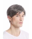 Buy Wig Me Up GFW994-44 Short Men's Fashionable Gray Hair Wig - 20 cm Dark Gray & Black Mix - International Shipping - Buy Online on GoSupps.com