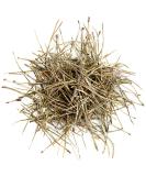 High-Quality Pine Needle Tea - 100g | Natural Pine Branches & Needles for Health Benefits - Buy Online on GoSupps.com