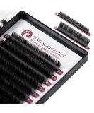 Silk Eyelashes - C Curl Individual Extensions | 0.20mm Thickness | 8-14mm Length Mix | 16 Strips - Wimpanista - Buy Online on GoSupps.com