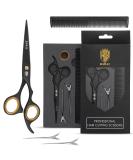 Ramaz Professional Hair Cutting Scissors Set - Extra Sharp 6.5 Stainless Steel Shears with Comb & Clips for Perfect Haircuts - Ideal for Men & Women - Buy Online on GoSupps.com