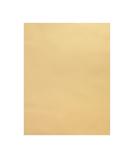 Quotidian Pale Gold Vellum Paper Sheets 8.5x11 inch 100gsm - Pack of 50 | Translucent Printable Tracing Paper for Sketching and Drawing - Buy Online on GoSupps.com