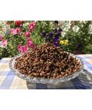 Bee Bread Perga Fermented Bee Pollen Raw & Natural No Preservatives No Genetic Engineering Suitable for Vegetarians 1Kg. - Buy Online on GoSupps.com