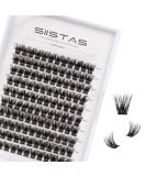 D Curl Individual Cluster Lashes 14mm - Soft & Natural DIY Eyelash Extensions - W06#(14mm) - Buy Online on GoSupps.com