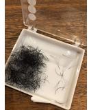 Lash by Holly 3D Premade Fan Lashes - Handmade C/D Curl 0.07 Thickness 9-15mm Length (11mm) - Perfect for Eyelash Extensions | Fast International Shipping - Buy Online on GoSupps.com