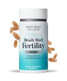 Best Nest Wellness Ready Bird Men's Fertility Vitamins for Conception Mens Prenatal Vitamins Male Fertility Supplements Prenatal for Men for Conception Includes Bonus Tips to Get Pregnant 30 Ct 30 Count (Pack of 1) - Buy Online on GoSupps.com