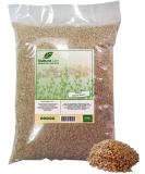 Toasted Sesame Seeds - Natural 5 lb Bulk Bag | Heat Sealed for Freshness - Buy Online on GoSupps.com