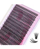 Calailis 280 PCs DIY Cluster Eyelashes - 0.07-30D d Curl Individual Extensions for Volume Eyelash Looks at Home - Buy Online on GoSupps.com