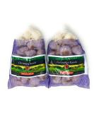 2 lb California Heirloom Gilroy Garlic, Fresh and Finest - Pack of 2 | USA Grown - Buy Online on GoSupps.com
