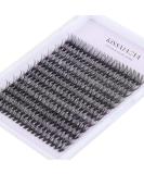 240pcs 40D 0.07 D Curl 14mm Cluster Eyelashes Extensions | Soft Individual Lashes for DIY Eyelash Extension At Home - Buy Online on GoSupps.com