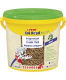 Sera Koi Royal Nature Mini 3800 ml |Main feed for koi up to 12 cm |Omega fatty acids & mannan-oligosaccharide |4% insect flour from sustainable breeding |Form -stable granules protect water in the pond 3.8 ml (1 -pack) Mini 2mm single - Buy Online on GoSupps.com
