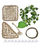 Allazon 15-Piece Lizard Habitat Decor Set - Hammock Climbing Plants & Water Bowl for Reptiles (Chameleons Lizards Geckos Snakes Iguanas) - Eco-Friendly Hemp Rope Accessories - Buy Online on GoSupps.com
