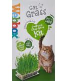 Webbox Cat Grass Kit 120g - Buy Online on GoSupps.com