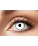 Eyecatcher Colored Contact Lenses - 12 Month White Zombie Pair for Halloween Carnival & Mardi Gras - Buy Online on GoSupps.com