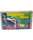Lucky Reptile Sphagnum Moss - 100 g Terrarienmoos Bricks for reptiles - Terrarium for increasing humidity - Moos from controlled cultivation orchids & bromelia - Accessories - Buy Online on GoSupps.com