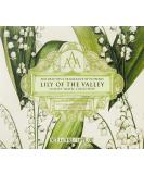 AAA Floral Travel & Gift Collection - 4 x 50 ml Shower Gel Body Lotion Shampoo & Conditioner (Lily of the Valley) - TSA Approved Sizes for International Shipping - Buy Online on GoSupps.com