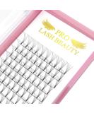 7D-D-0.07 12mm Short Stem Premade Volume Eyelash Extensions | 3D 5D 7D Volume Lash | 9-20mm Pre made Fans C D Curl | 12 mm - Buy Online on GoSupps.com