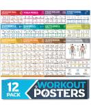 12-PACK Laminated Workout Poster Set for Home Gym - Exercise Charts for Dumbbell, Yoga Poses, Resistance Band, Kettlebell & Stretching - Fitness Gym Posters - Buy Online on GoSupps.com
