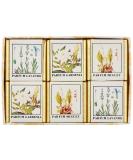 Radhe Sales Bath Salt Bucket - 6 Pieces 200g | Premium Soothing Bath Salts for Relaxation - International Shipping Available - Buy Online on GoSupps.com