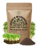Arugula Sprouting & Microgreens Seeds - Non-GMO Heirloom Kit | 1lb Bulk Resealable Bag for Planting & Growing in Soil, Coconut Coir, Garden, Aerogarden, Hydroponic - Arugula Microgreen Seeds - Buy Online on GoSupps.com