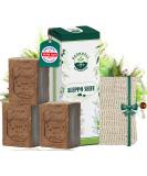 Gr nwell Naturoase Original Aleppo Soap | 60% Olive Oil 40% Laurel Oil | Natural Care for Face & Body | 600g | Organic Hair Soap - Buy Online on GoSupps.com