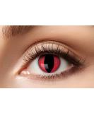 Eyecatcher 84078841-756 Red Colored Contact Lenses - 12 Month Wear for Carnival Mardi Gras & Halloween - Perfect for Red Dragon Costumes - Buy Online on GoSupps.com