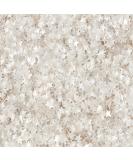 Wilton Edible Glitter Silver Stars 0.4 oz. - Sparkle & Shine with Silver Star Edible Glitter - Buy Online on GoSupps.com