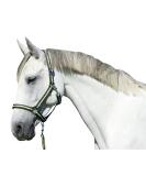 Shop Kerbl Nylon Halter for Hippo & Ponies | 6 Colors Available | Size 2 Anthracite/Lemon - International Shipping - Buy Online on GoSupps.com