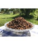 Bee Bread Perga Fermented Bee Pollen Raw & Natural No Preservatives No Genetic Engineering Suitable for Vegetarians 500g. - Buy Online on GoSupps.com