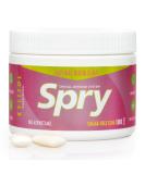 Spry Fresh Natural Xylitol Chewing Gum Dental Defense System Aspartame-Free Sugar Free Gum (Bubble Gum, 100 Count - Pack of 1) Bubble Gum 100 Count (Pack of 1) - Buy Online on GoSupps.com