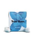 True Gum Strong Mint - Plastic-Free Biodegradable Vegan Chewing Gum (21g) | Eco-Friendly International Shipping - Buy Online on GoSupps.com