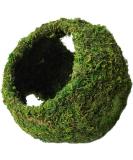 Galapagos Mossy Cave for Aquarium 7.5 - Green | 05344 (759834053446) - Buy Online on GoSupps.com