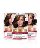 L'Oreal Paris Excellence 5.3 Golden Brown Hair Color - Pack of 3 | International Shipping Available - Buy Online on GoSupps.com