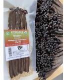 Certified USDA Organic Grade A Madagascar Vanilla Beans 6-7.5 by FITNCLEAN VANILLA - Gourmet Bourbon Whole Pods 12 Count for Chefs, Extract, Baking, and Essence - NON-GMO - Buy Online on GoSupps.com