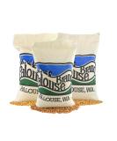 Non-GMO Project Verified Wheat Variety Pack | 9 LBS | Non-Irradiated | Certified Kosher Parve | Field Traced | Cotton Bag | 3 lbs x 3 - Buy Online on GoSupps.com