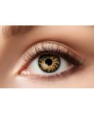 Eyecatcher 84063141-635 Colored Contact Lenses - 12 Month Wear Green & Brown Perfect for Carnival Mardi Gras & Halloween Tiger - Buy Online on GoSupps.com