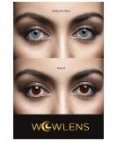 Buy WoWlens Miami Green Colored Contact Lenses - Natural Green Monthly Lenses with Case | 1 Pair (2 Pieces) | Dia 14.00 | No Prescription Needed - Buy Online on GoSupps.com